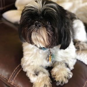 Meet your Posher, Julie